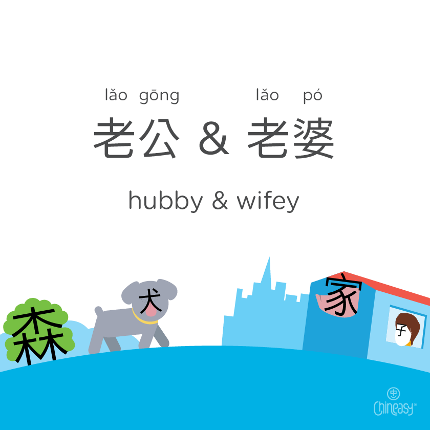 hubby in Chinese