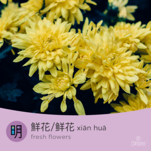 fresh flowers in Chinese