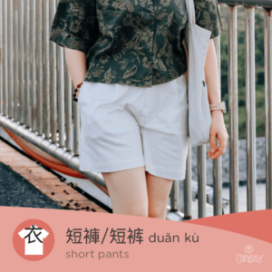 shorts in Chinese