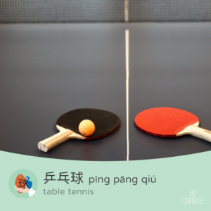 table tennis in Chinese