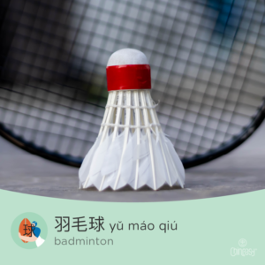 Badminton in Chinese