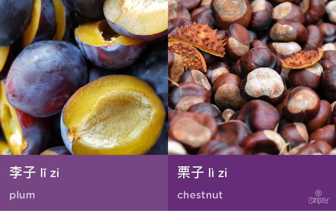 Two-Syllable Chinese Homophones: plum vs chestnut