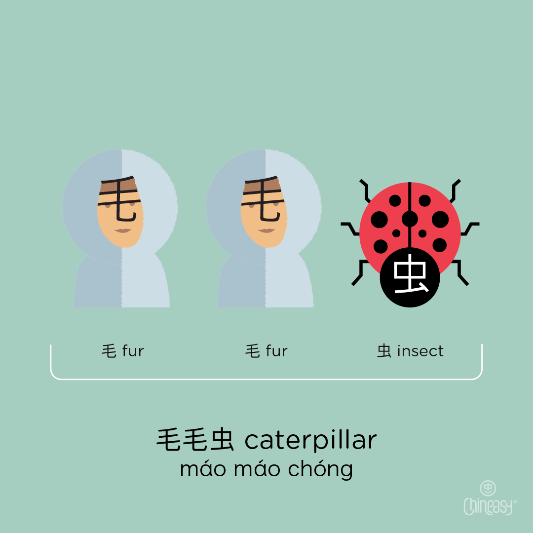 caterpillar in Chinese