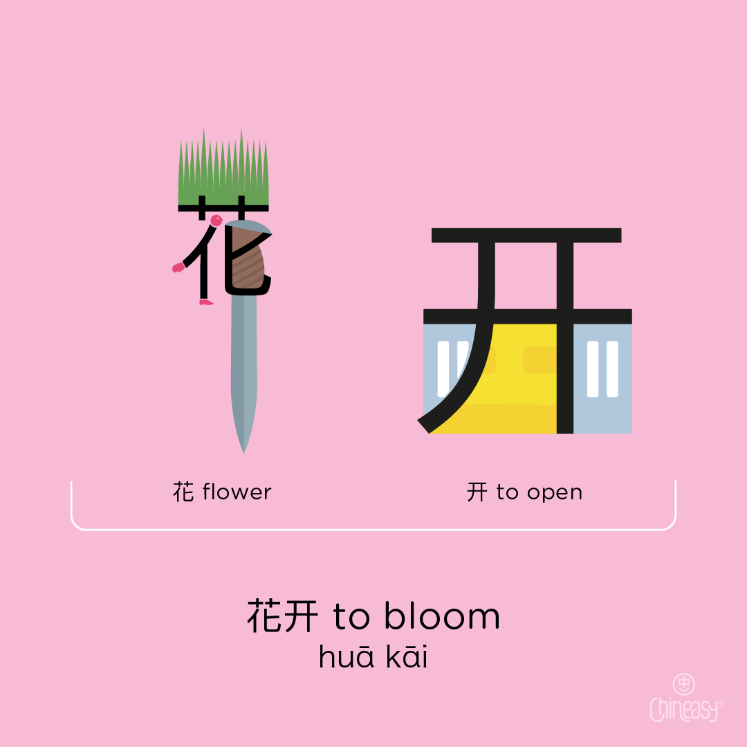 to bloom in Chinese