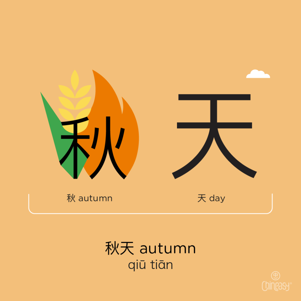 Top 10 Autumn Words in Chinese With Example Sentences & Audio Chineasy